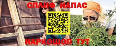 сатива Ярославль