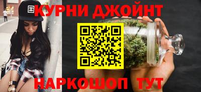 сатива Ярославль