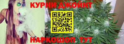 сатива Ярославль