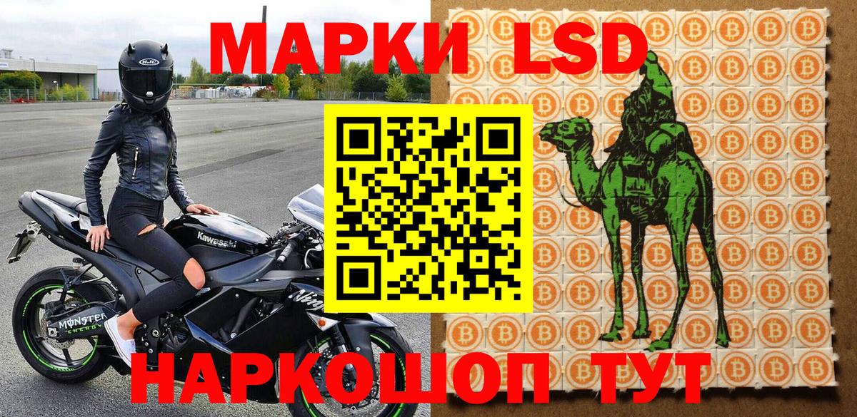 Наркотические марки 1,8мг  Марки 25I-NBOMe  Брянск  Вход с VPN 