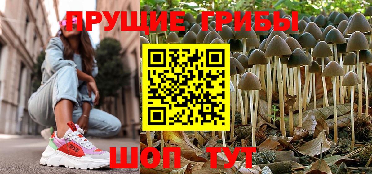 Галлюциногенные грибы Psilocybine cubensis  где купить наркоту  Брянск  Вход с VPN 